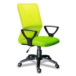 21 Սամբա ցանց սալաթովայա