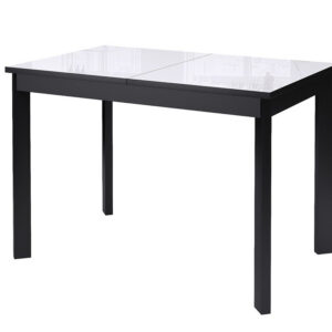 ԴԻԿԼԱՅՆ ԼՍ111 ՍԵՎ/ՍՊԻՏԱԿ