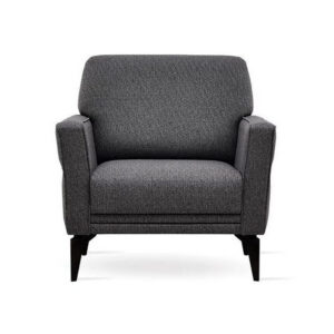 ՖՈՐՏԵ մոխրագույն