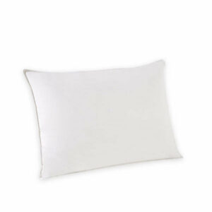 Մաքուր Սագի փետուր ( Ջուլ) 1000գրամ 50*70